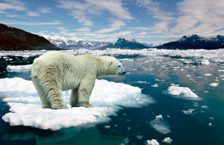 El cambio climatico y la escasedde agua